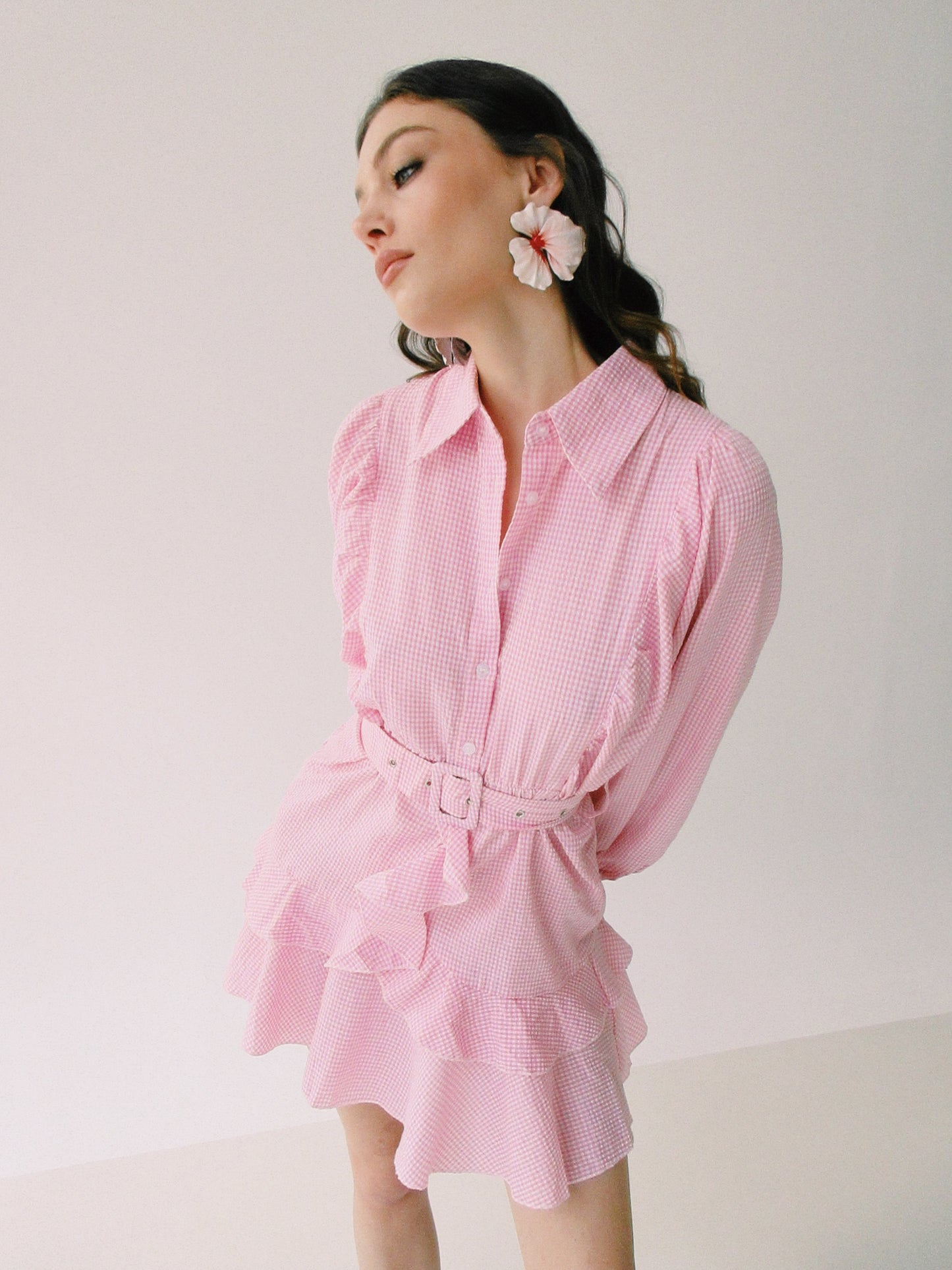Milena Dress (Pink)