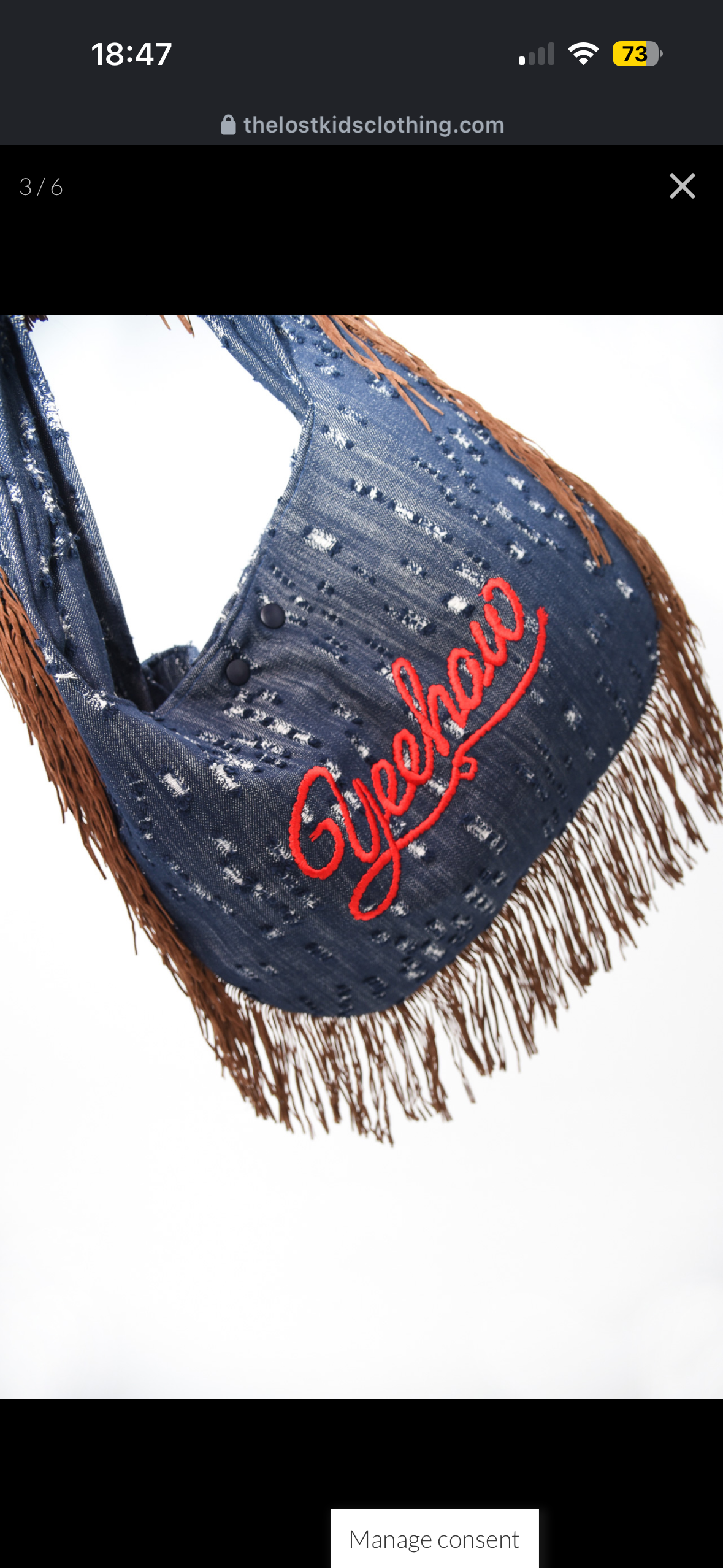 Yeehaw Big Jean’s Bag